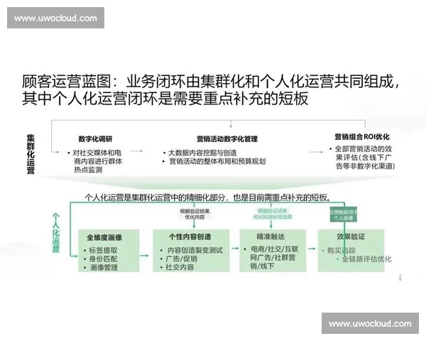 面向未来市场的企业行业扩展战略规划与实施路径研究创新升级与风险管控
