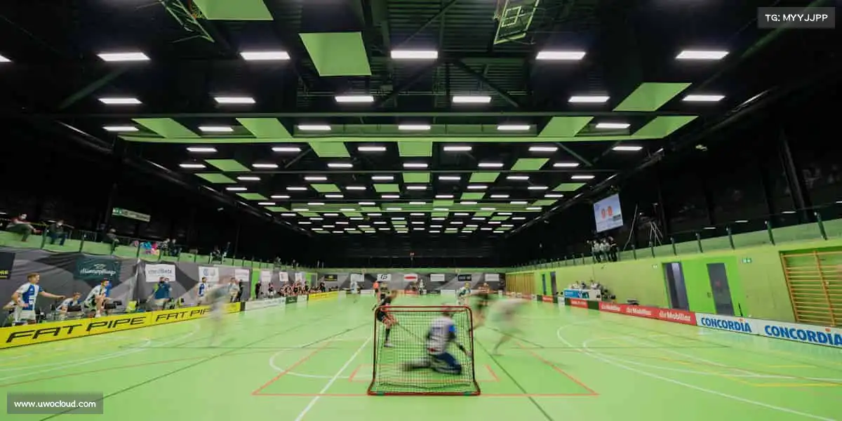 我们的核心竞争力